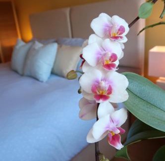 Lutterworth Apartment | Bourne House, private modern apartment near Rugby & Lutterworth