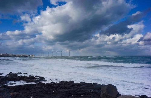 Hallim Resort | Boutique Pool Villa NAMIB