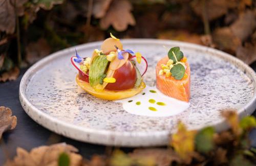 Regensdorf Hotel | Boutiquehotel Thessoni Classic & Self service Residence Home Zürich