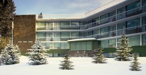 Banff Hotel | Bow View Lodge