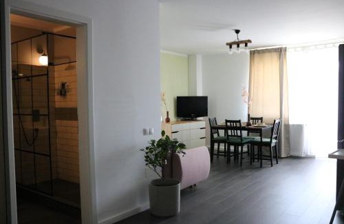 Cluj-Napoca Apartment | Bran's Apartment