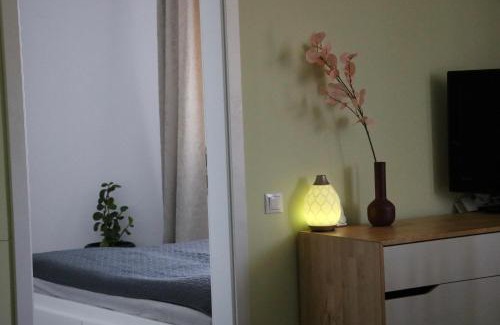 Cluj-Napoca Apartment | Bran's Apartment