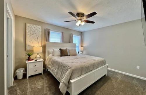 Hamilton House | Brand New Home Walking distance to Spooky Nook