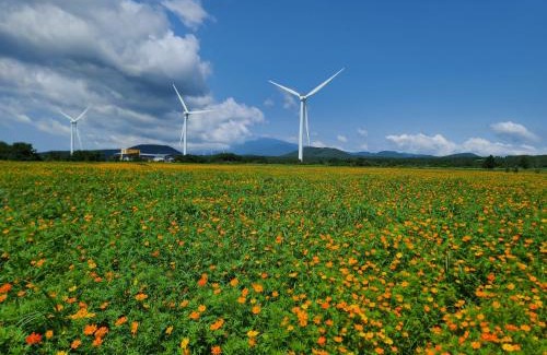 Namwon House | Brassica Flower Pension