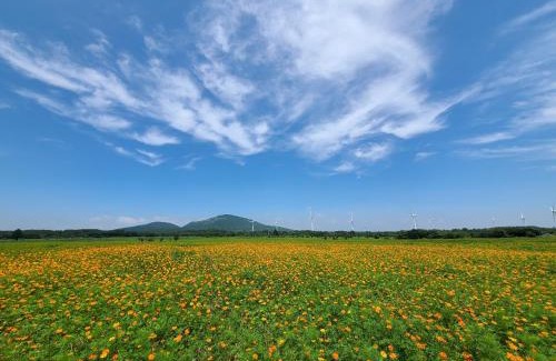 Namwon House | Brassica Flower Pension