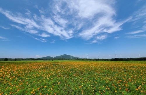 Namwon House | Brassica Flower Pension