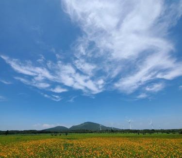 Namwon House | Brassica Flower Pension