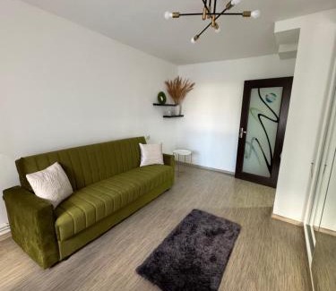 Craiova Apartment | Brazda City Escape