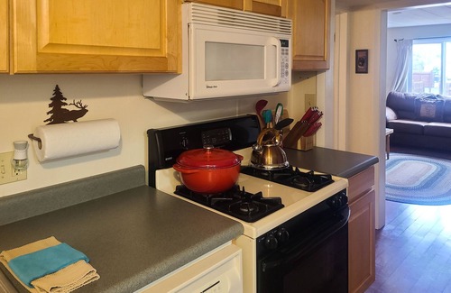 Estes Park Cabin | Breathtaking River Front Cabin at RMNP w/Hot Tub