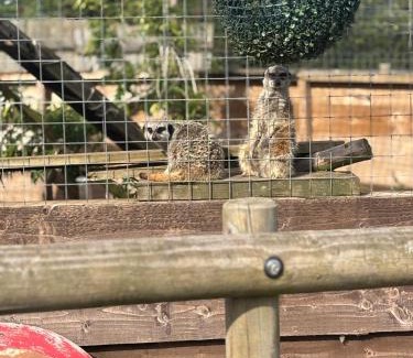 Kington Villa | Bridie -rose with wood tub country retreat