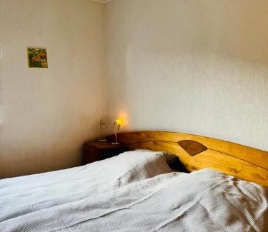 Mittelstadt Apartment | Bright Apartment in Prime Location