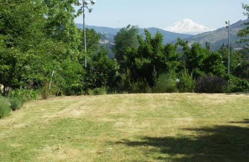 Hood River Cottage | Bright cozy cottage with Mt. Adams view