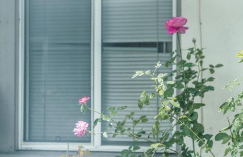 Alhambra Apartment | Bright & Cozy Getaway-10min to Downtown LA