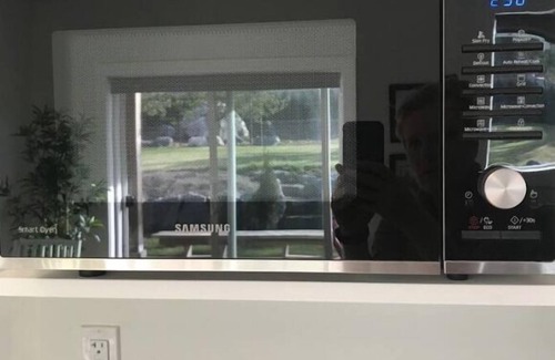 Campbell River House | Bright garden level suite