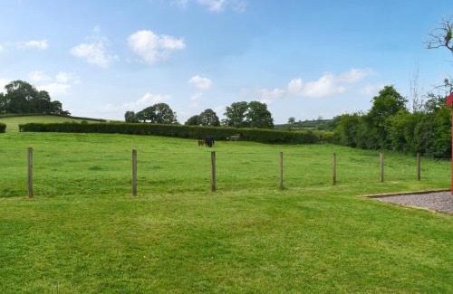 Llanfihangel Tal-y-llyn House | Brown Hare - Uk49799