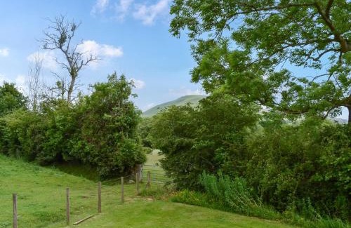 Llanfihangel Tal-y-llyn House | Brown Hare - Uk49799