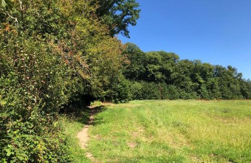 Les Iffs House | Bruisse