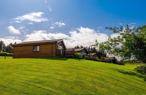 Port Talbot Cabin | Bryn Bettws Lodge