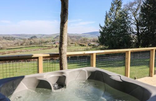 Llanddewi Ystradenny House | Bryn Hafod