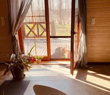 Glowczyce Bed & Breakfast | Brzozowy Gaj