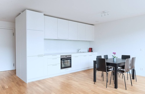 Basel City Centre Apartment | BS Hedgehog V - Messe HITrental Apartment