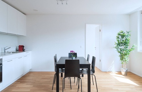 Basel City Centre Apartment | BS Hedgehog V - Messe HITrental Apartment