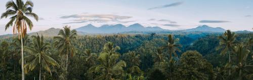 Payangan Resort | Buahan, a Banyan Tree Escape
