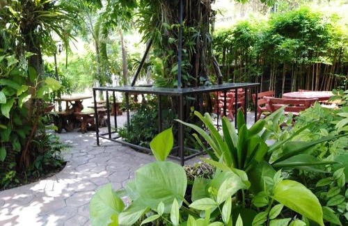 Thapae Apartment | Buddy Guesthouse