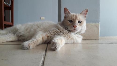 Salta House | Buen Descanso