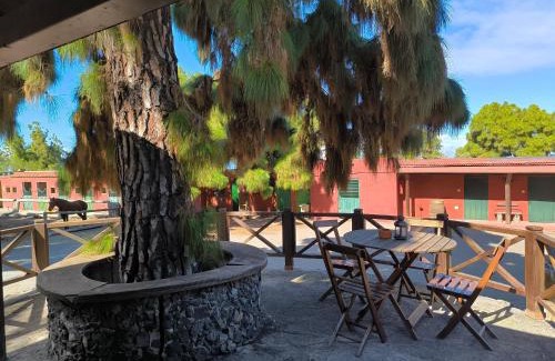 Buen Paso House | Buen Paso