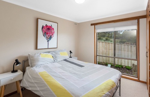 Nelson House | Buena Vista - Great views and access to the river