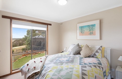 Nelson House | Buena Vista - Great views and access to the river