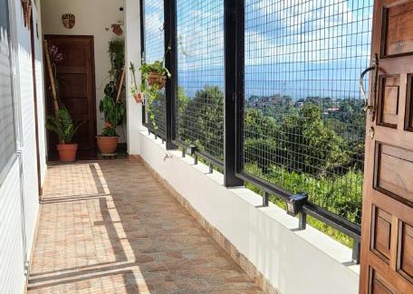 La Banda de Shilcayo Cabin | BUENAVISTA AMAZON LODGE