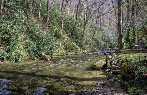 Robbinsville House | Buffalo Creek Cabin- Hot Tub Creekfront Escape