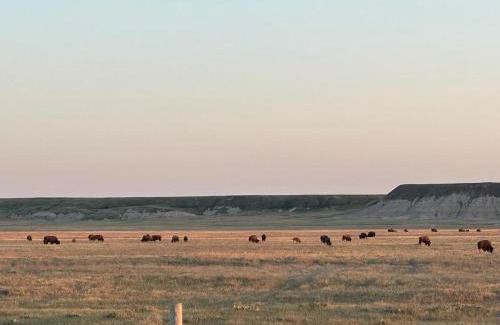 Northeast Entrance Badlands House | Buffalo Drift Tiny Home