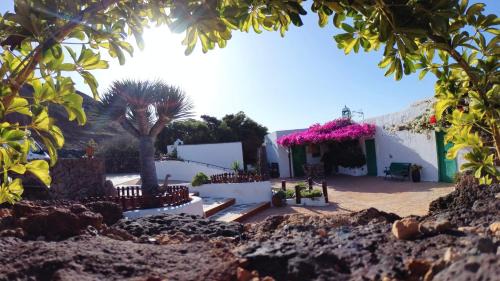 Tinajo House | BUGANVILLA MOLINO