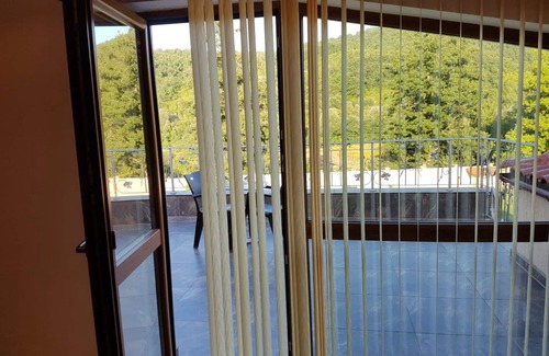 Elena House | BULGARIA truffle adventure - TRUFFLE SEARCH!