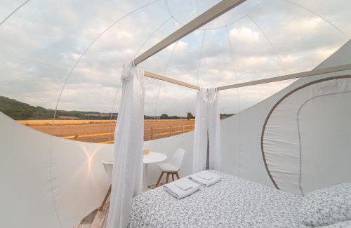 Clecy Other | Bulle à la Belle étoile