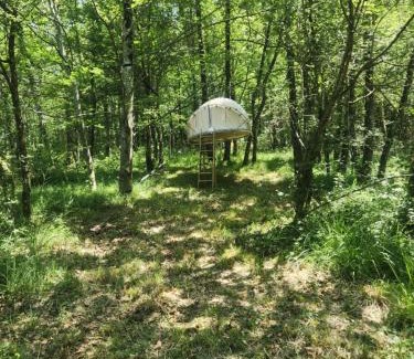 Sonnac-sur-l'Hers Other | Bulle perchée