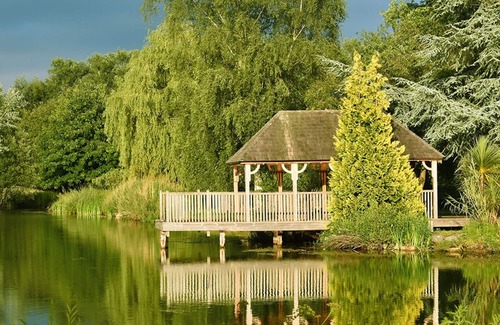 New Forest District Cottage | Bumblebee Cottage in the New Forest