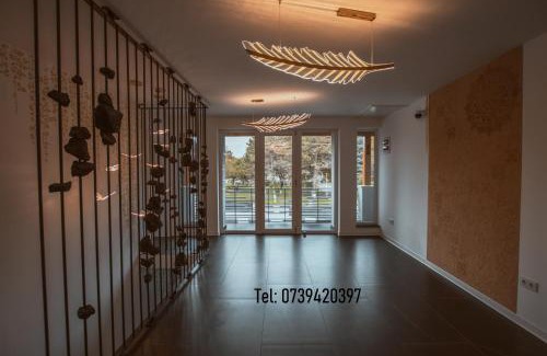 Hunedoara House | Butterfly