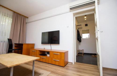 Timisoara Apartment | By the river apartment 1