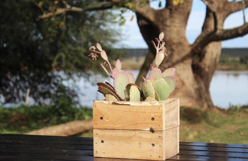 Addo Bed & Breakfast | Bydand B&B