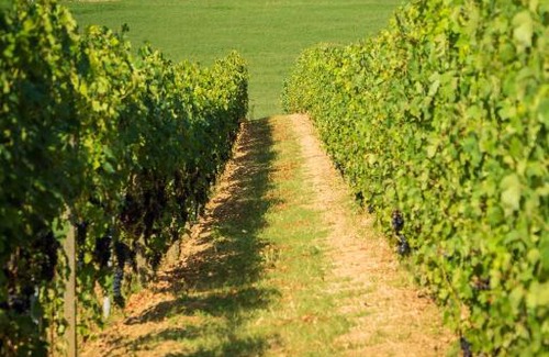 Vignale Monferrato Hotel | Cà dell'Ebbro