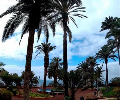 Puerto de la Cruz Apartment | Cómodo Rinconcito en Puerto