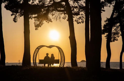 Sinan-gun Resort | C-One Resort Jaeundo