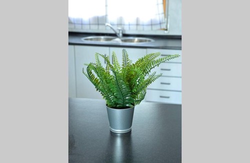 Bellmunt d'Urgell House | Ca la Paquita