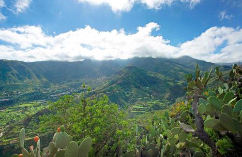 Valsequillo de Gran Canaria House | Ca' Navarro