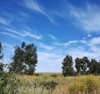 Quintero House | Cabaña 2 habitaciones parcela