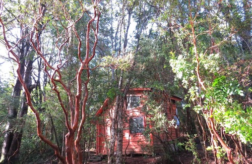 Pucon Cabin | Cabaña Arrayán